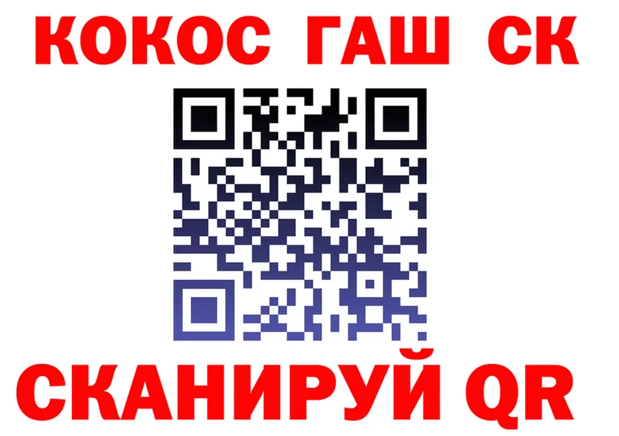 Альфа ПВП VHQ вход площадка блэк спрут Плёс
