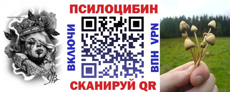 где купить наркоту  Плёс  Галлюциногенные грибы мухоморы 
